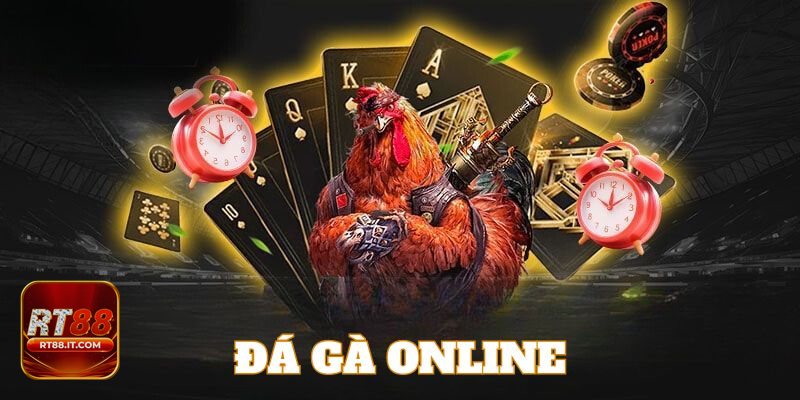 Đá gà rt88 - Quản lý vốn khoa học